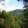 09 b Schluchensteig Etappe 4 - 6